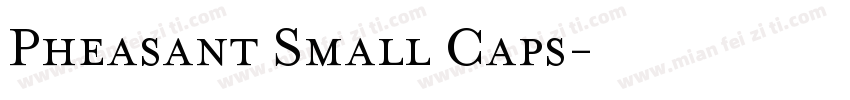 Pheasant Small Caps字体转换